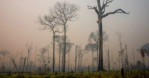 Ministro não aponta meta para redução do desmatamento na Amazônia