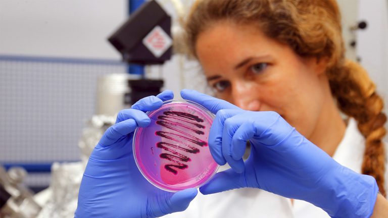 A imagem mostra uma mulher de jaleco branco, cabelos castanhos ondulados e presos, usando luvas azuis. Ela está em um ambiente de laboratório e segura uma placa transparente rosa com estrias escuras feitas provavelmente por uma técnica de microbiologia. Ao fundo, é possível observar equipamentos científicos desfocados. A expressão da mulher analisa o conteúdo da placa.