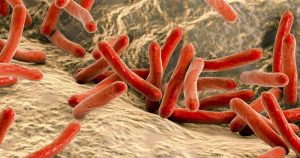 Cai em 8% o número de mortes por tuberculose no País em uma década