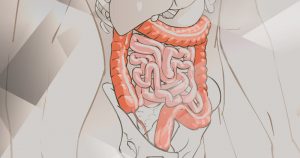 Estudo clínico busca recrutar voluntárias para pesquisa sobre distúrbios gastrointestinais