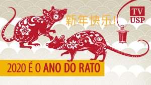 O ano do rato – ano novo chinês