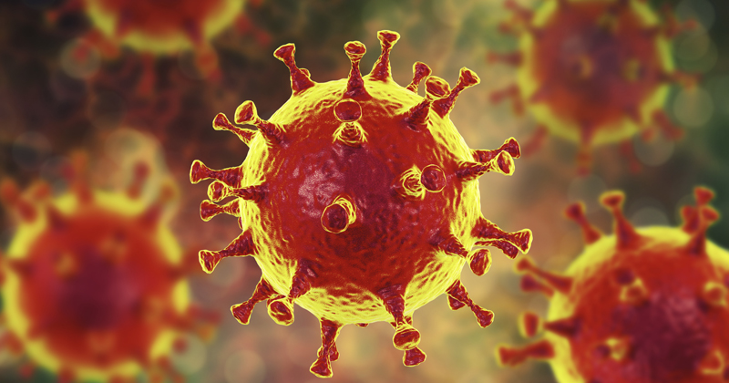 Coronavirus: scientists rush to stop epidemic that started in China - Jornal da USP