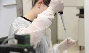 CTC tem vagas de pós-doutorado em terapias celulares e imunes de doenças hematológicas