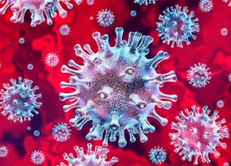 Imagem do coronavírus pelo microscópio - Foto: 123RF