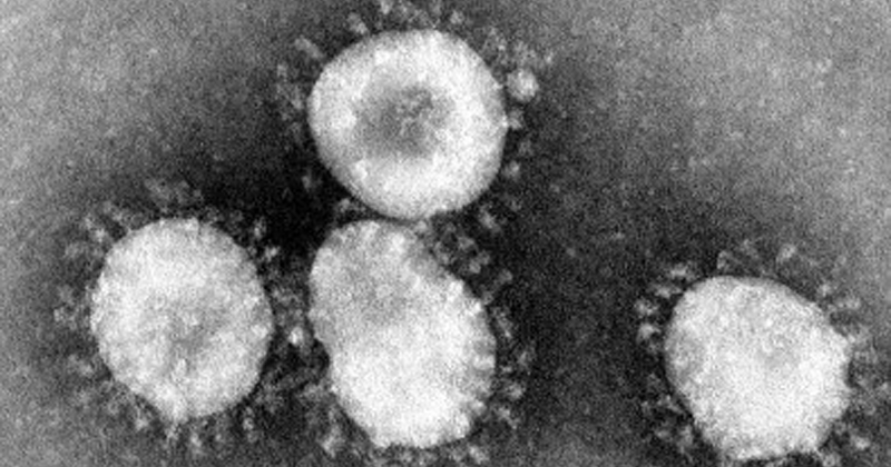 Resultado de imagem para coronavirus wikimedia commons