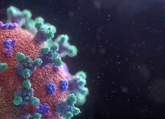 Nova visualização do vírus Covid-19 - Foto: Fusion Medical Animation via Unsplash