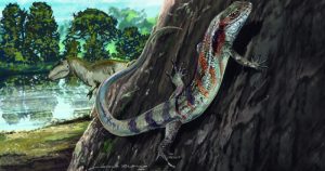 Fóssil de lagarto mais antigo da América do Sul é encontrado em Minas Gerais
