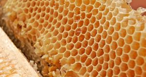 Pesquisadoras criam suplemento vegetariano à base de mel em pó e proteína do arroz