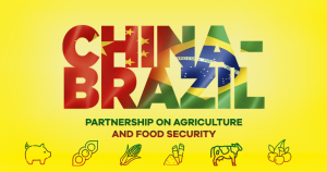 No agronegócio, os ganhos e as novas possibilidades das exportações do Brasil para a China