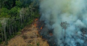 Pesquisadores temem explosão de desmatamento em 2020