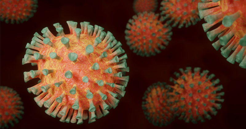 Pesquisadores descobrem que coronavírus infecta células do coração ...