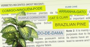 Dicionário bilíngue mostra diversidade de plantas brasileiras