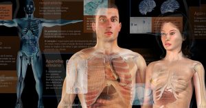 Homem Virtual da USP promove educação cidadã sobre corpo e saúde