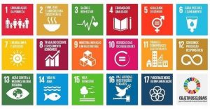 USP é a 48ª universidade do mundo mais comprometida com os Objetivos de Desenvolvimento Sustentável