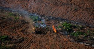 Desmatamento da Amazônia dispara de novo em 2020