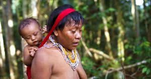 Artigo descreve como os Yanomami estão usando estratégias ancestrais para enfrentar a covid