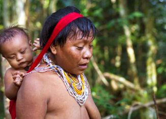 Uma das principais estratégias ancestrais dos Yanomamis do rio Marauiá, no Amazonas, é a saída das aldeias e o refúgio na floresta. - Foto: Sam Valadi