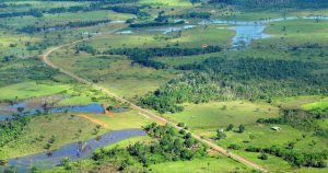 Plano de Recuperação Verde na Amazônia Legal pode gerar mais de 200 mil empregos na região