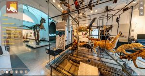 Museu de Zoologia da USP inaugura tour virtual 360​