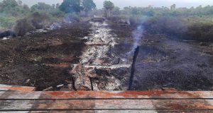 Fogo no Pantanal é favorecido por mudanças climáticas e falta de fiscalização