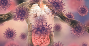 Coronavírus usa armadilhas do sistema imunológico para espalhar infecção e destruir células