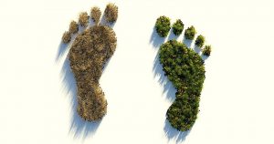 Artigo discute mudanças ambientais e seus impactos na saúde humana