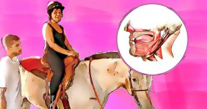 Terapia com cavalos reduz efeito de perdas musculares do envelhecimento