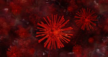 A febre, além de ser importante no combate a infecções, auxilia no desenvolvimento de memória imunológica - Foto: Pixabay