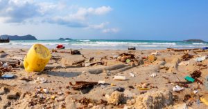 Turismo costeiro gera graves impactos ao oceano