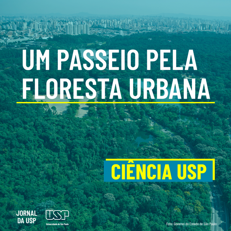 Capa de Ciência USP #34: Um passeio pela floresta urbana