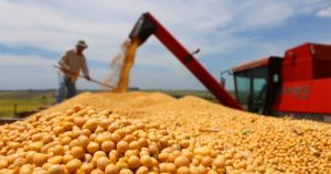 “Plano Safra planeja aumentar produção agrícola de forma sustentável”