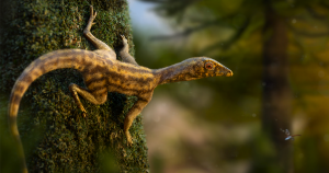 Pesquisadores desvendam enigma ligado à origem dos pterossauros