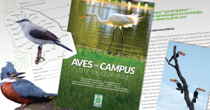 Livro mostra importância das aves para biodiversidade no campus da USP em Piracicaba