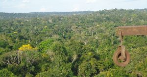 Aumento do desmatamento evidencia a necessidade de retomada do Fundo Amazônia