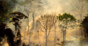 Evento on-line debate consequências das queimadas no Pantanal e na Amazônia