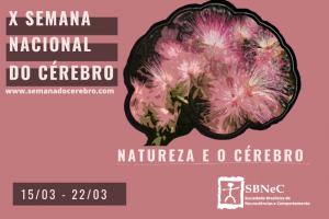 Eventos on-line da Rede CienArtES integram 10ª Semana Nacional do Cérebro
