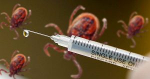 Estudo aponta caminhos para criar vacinas contra doenças causadas por carrapatos