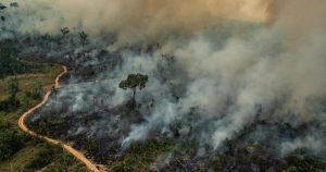 Cúpula do Clima gera expectativas em relação à posição do governo brasileiro