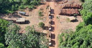 Aspectos da infraestrutura que deveriam ser aplicados à Amazônia para um crescimento sustentável
