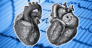 Pesquisadores descobrem novo alvo terapêutico para insuficiência cardíaca
