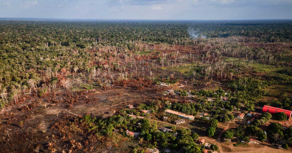 Imagem aérea de uma área desmatada na Amazônia, provocada por queimadas