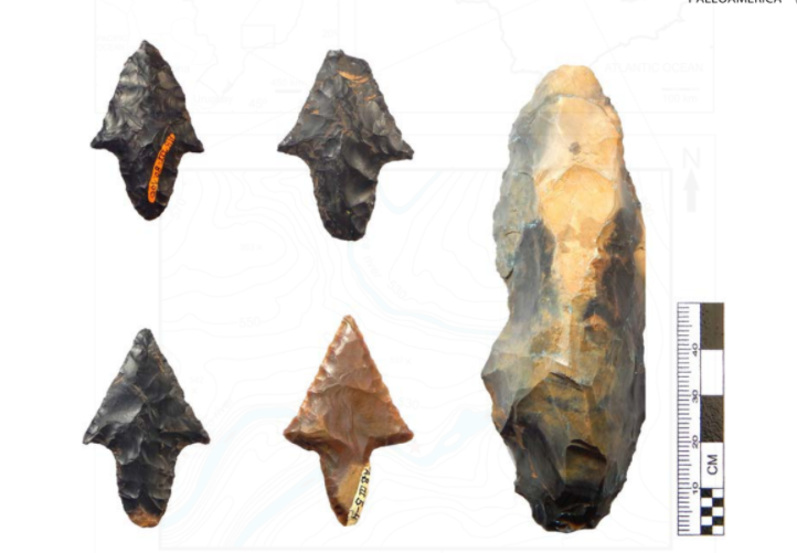 Exemplos de artefatos típicos do sítio de Alice Boer, encontrados durante a primeira escavação: quatro pontos de haste apresentando padrões tecnológicos e morfológicos rioclarenses e uma lesma. Créditos: Reprodução do artigo.