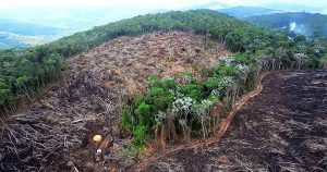 Áreas desmatadas por mineração ilegal na Amazônia aumentam em 90%