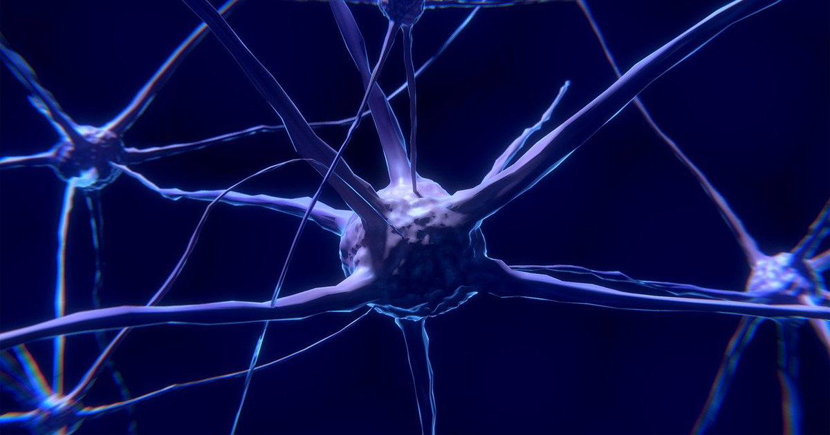 Pesquisadores da Plataforma Científica Pasteur vão usar minicérebros e neurônios obtidos a partir de células-tronco como modelo de estudo - Foto: Colin Behrens/Pixabay