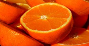 Laranjeiras transgênicas são resistentes às principais doenças bacterianas de citros, mostram testes