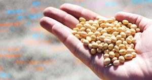 Luz e inteligência artificial revelam potencial de germinação e vigor de sementes de soja