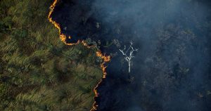 ‘Verdejar ante a ruína’ é uma resposta de antropólogas da USP ao ecocídio no Brasil