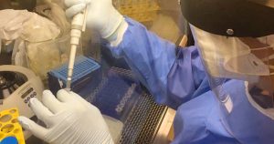 Testes para covid-19 nesta fase da pandemia podem ajudar a desacelerar a contaminação