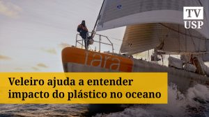 Veleiro científico navega pelo litoral brasileiro para investigar o microbioma marinho