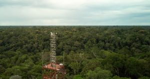 Biodiversidade vertical: cientistas exploram mundo desconhecido de insetos na copa de árvores da Amazônia
